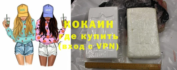 дмт Абаза