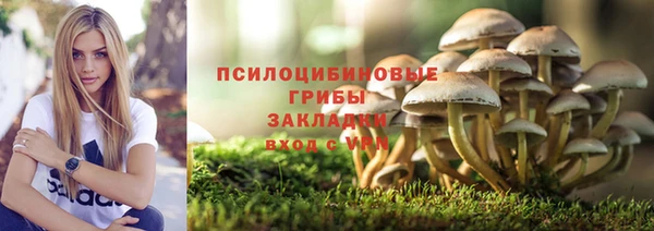 прущие крисы Абинск