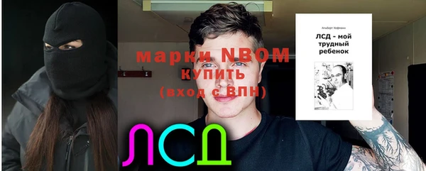 дмт Абаза
