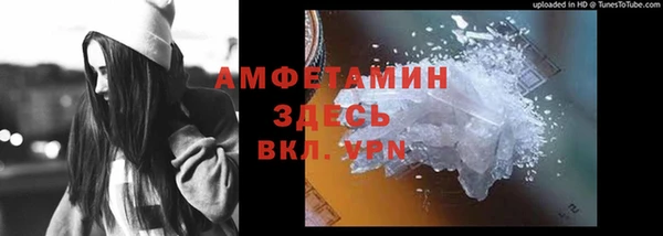 дмт Абаза