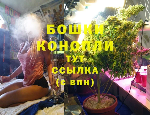 дмт Абаза