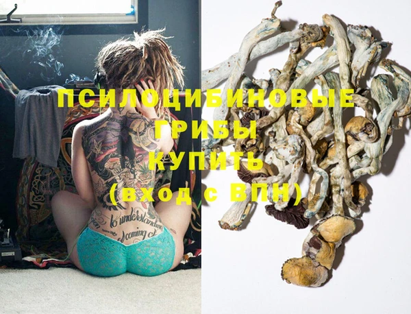 стафф Абдулино