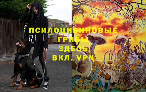 дмт Абаза