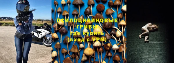 стафф Абдулино