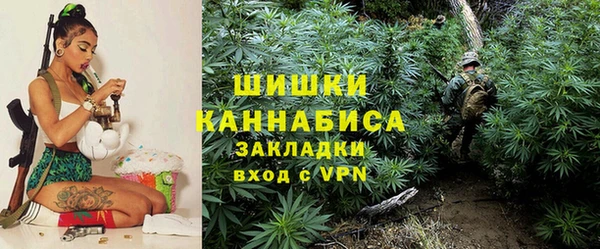 дмт Абаза
