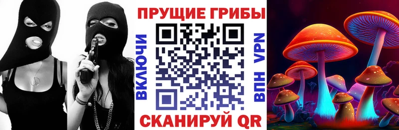 магазин  наркотиков  Фрязино  Галлюциногенные грибы ЛСД 