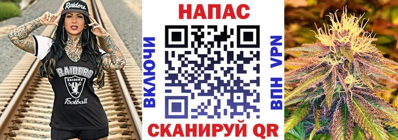mega ТОР Фрязино Канабис OG Kush купить наркотики сайты